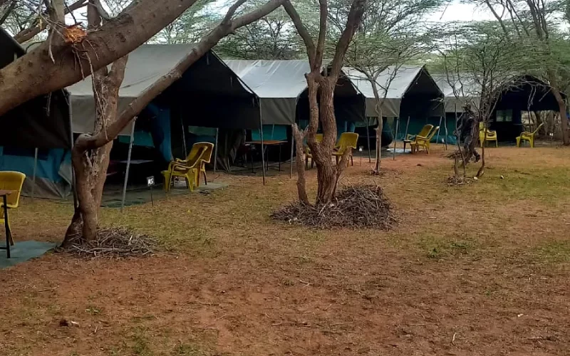 Ensuite Safari Tent (Self - Contained) Exterior 3